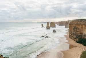 Из Мельбурна: однодневная поездка небольшой группой по Великой океанской дороге