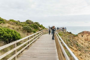 Из Мельбурна: однодневная поездка небольшой группой по Великой океанской дороге