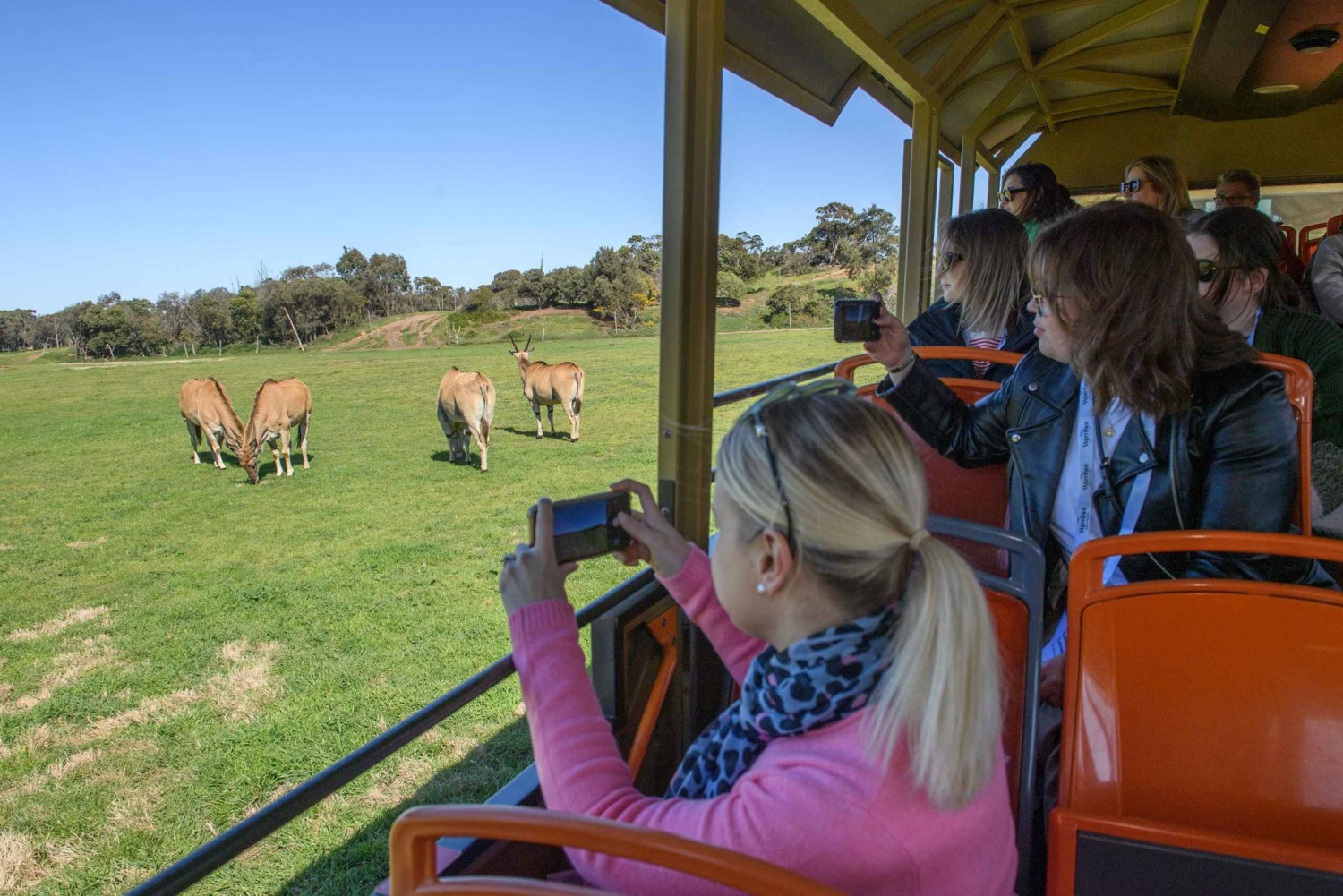 Fra Melbourne: Werribee Open Range Zoo & Werribee Mansion