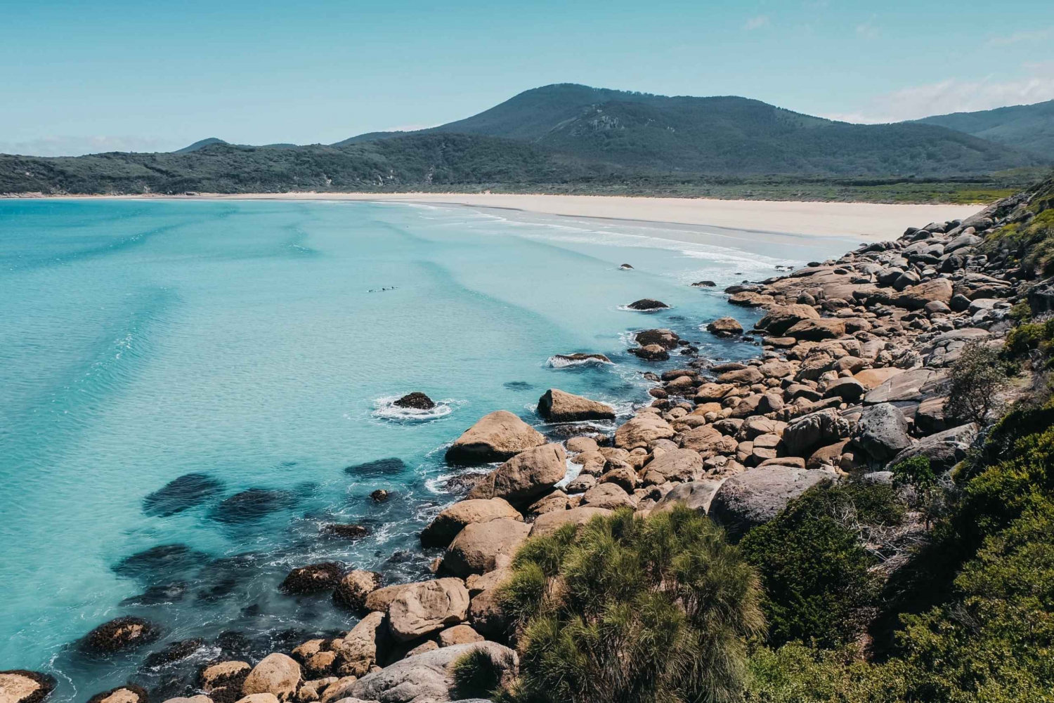De Melbourne: Wilsons Promontory Tour em pequenos grupos