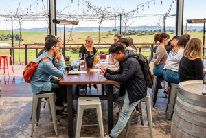 From Melbourne: Yarra Valley Wine, Gin, Chocolate Day Trip