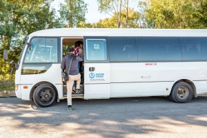 From Melbourne: Yarra Valley Wine, Gin, Chocolate Day Trip