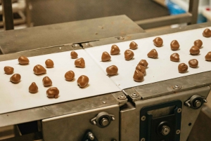 From Melbourne: Yarra Valley Wine, Gin, Chocolate Day Trip