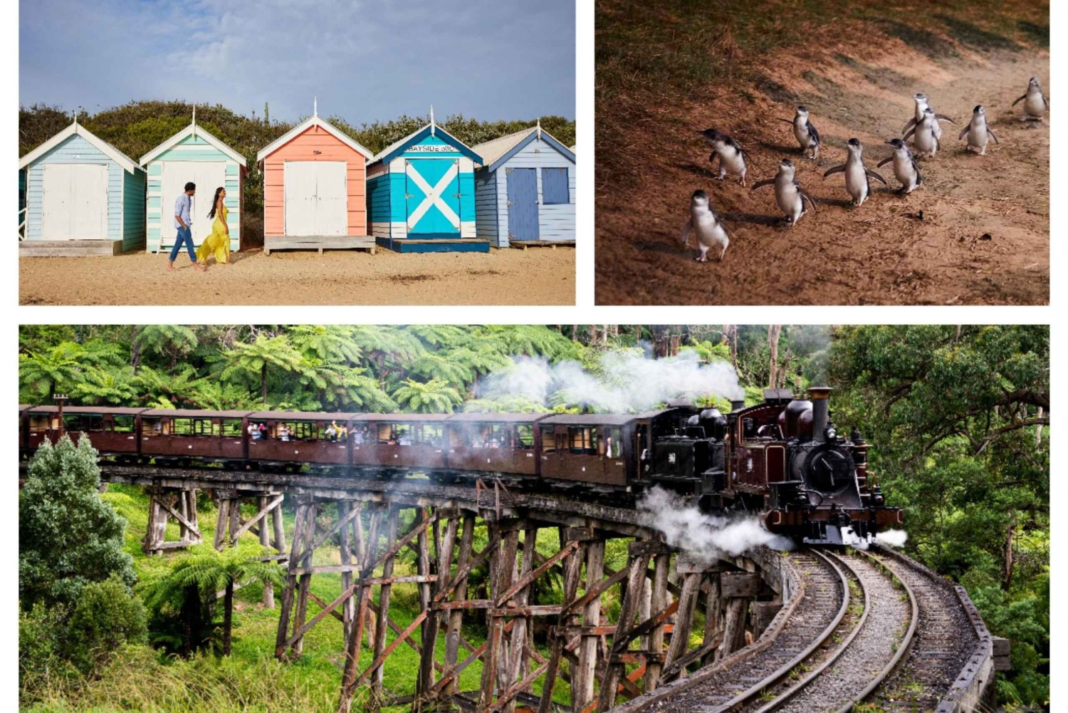 Melbourne: Puffing Billy Penguin Parade Brighton Boxes Tour