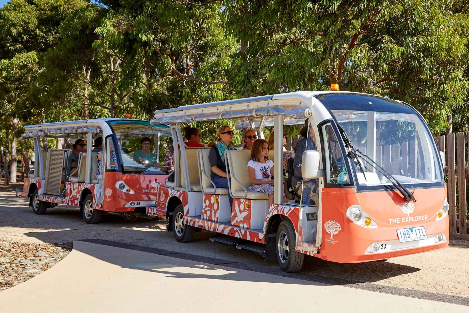 Melbourne, Australien Cranbourne Gardens Electric Explorer Tour