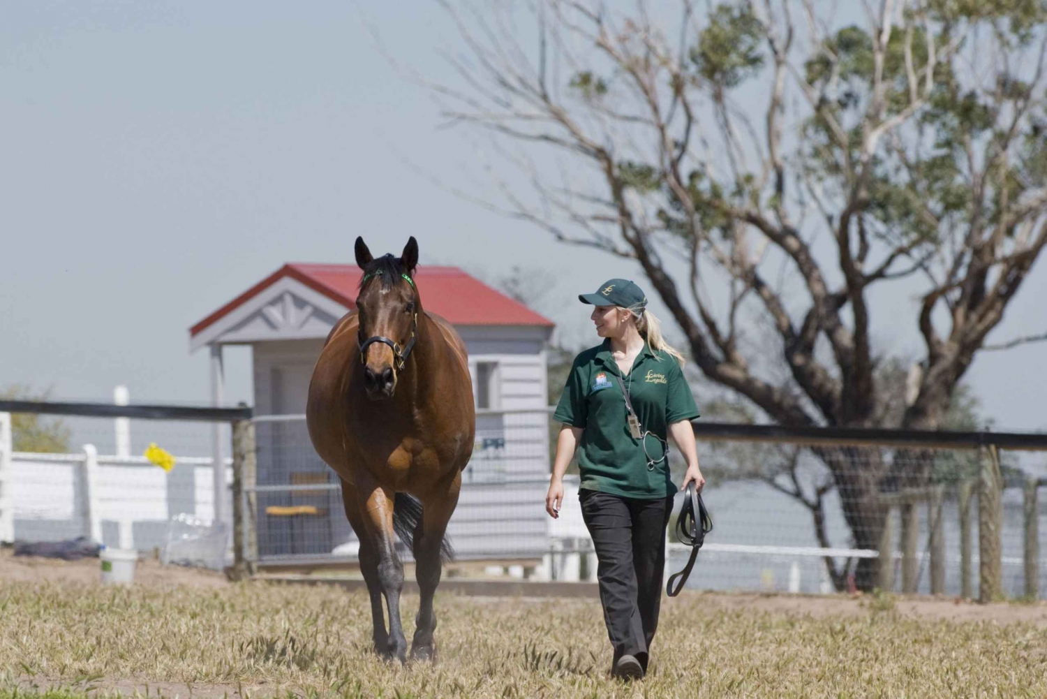 Melbourne: Dagvullende tour langs paarden, wijn en bier