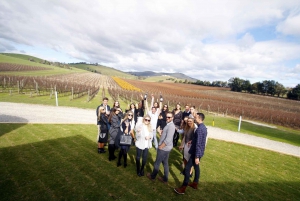Melbourne: Full-Day Yarra Valley Wine Experience with Lunch