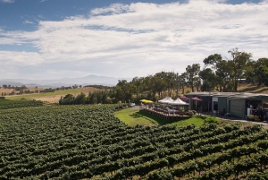 Melbourne: Full-Day Yarra Valley Wine Experience with Lunch
