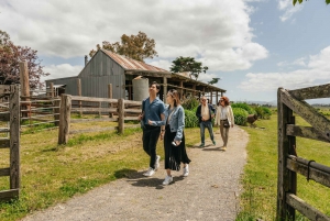 Melbourne: Full-Day Yarra Valley Wine Experience with Lunch