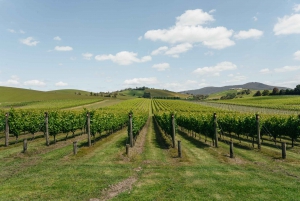 Melbourne: Full-Day Yarra Valley Wine Experience with Lunch