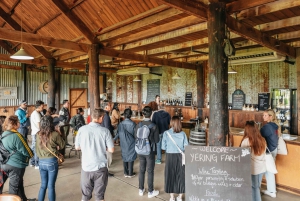 Melbourne: Full-Day Yarra Valley Wine Experience with Lunch