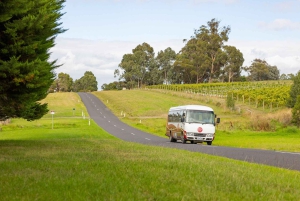 Melbourne: Full-Day Yarra Valley Wine Experience with Lunch