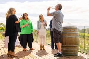 Melbourne: Full-Day Yarra Valley Wine Experience with Lunch