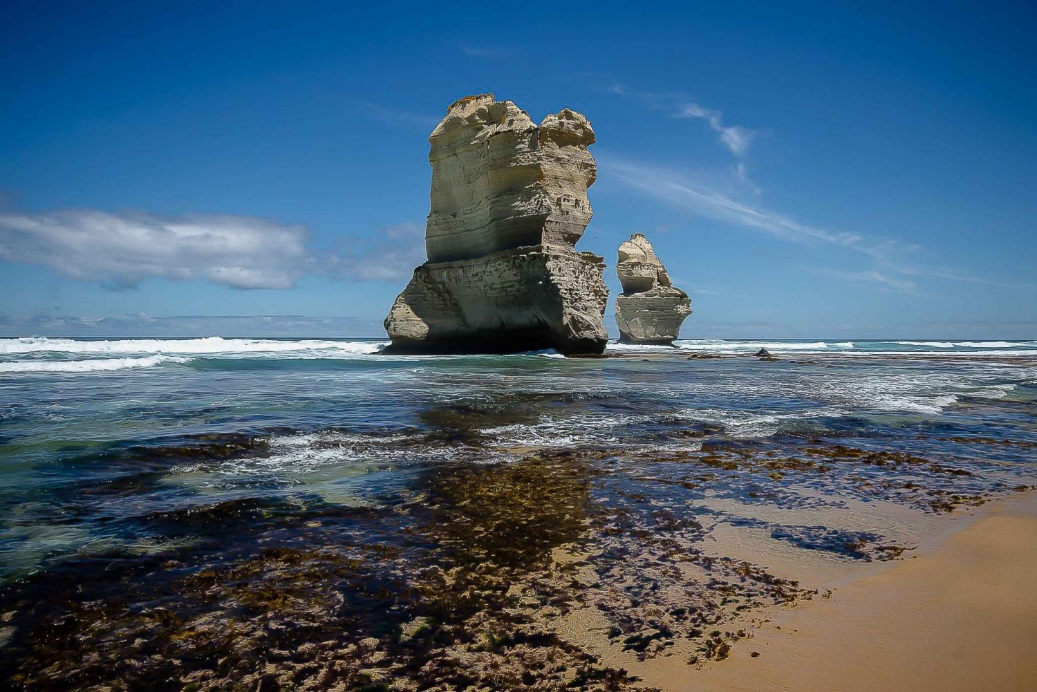 Melbourne: Great Ocean Road 12 Apostles & regnskovstur