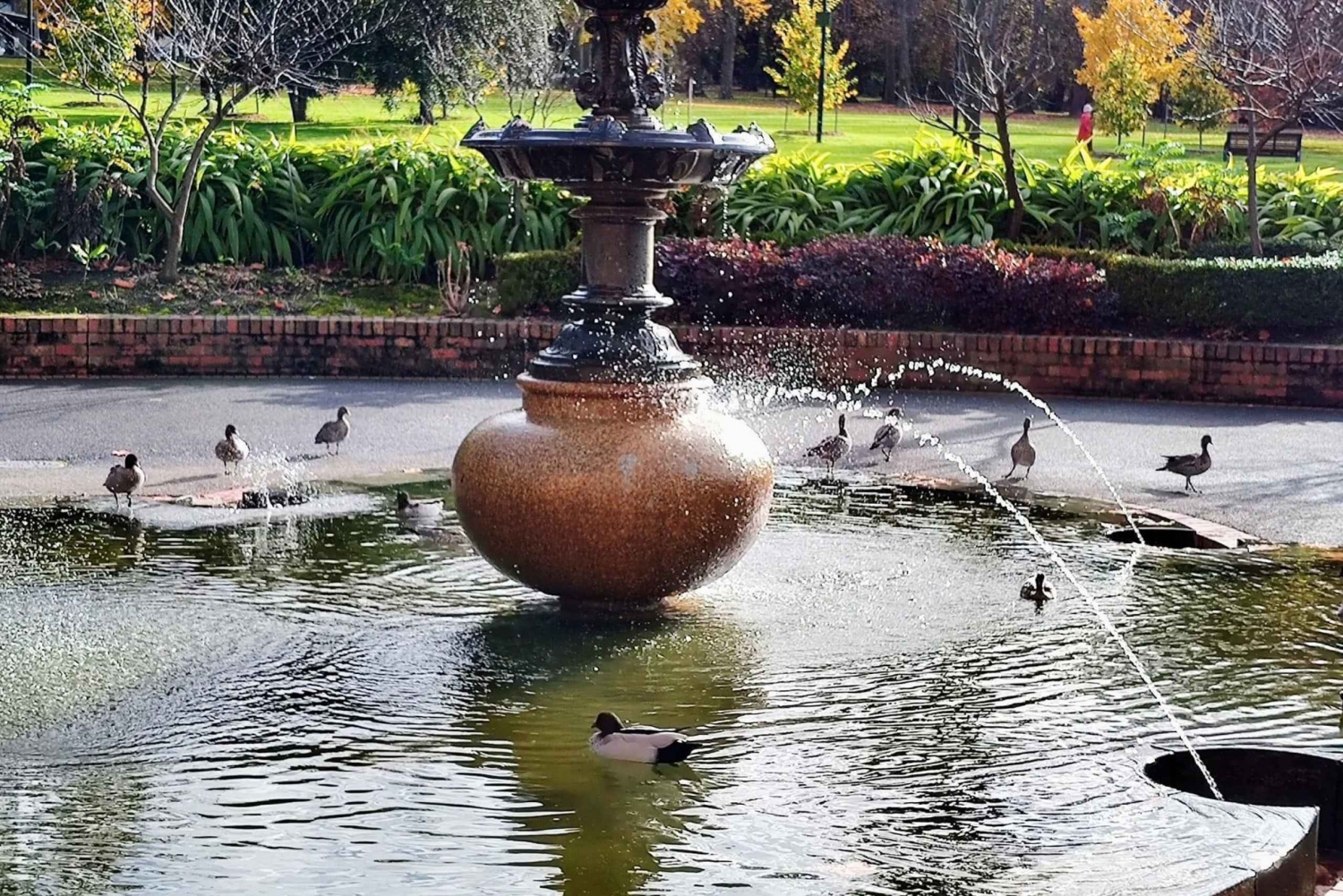 Melbournes højdepunkter, måneskins- og pingvinparade-dagstur
