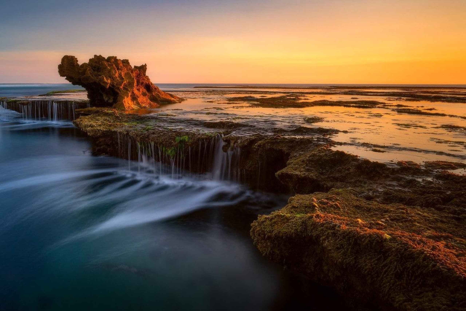 Melbourne: Morningtonin niemimaan ja Phillip Islandin kiertoajelu.