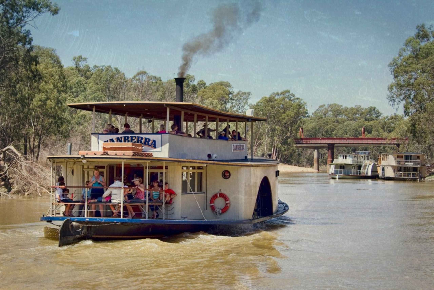 Melbourne: Murray River Paddle Steamer, vin- och djurlivstur