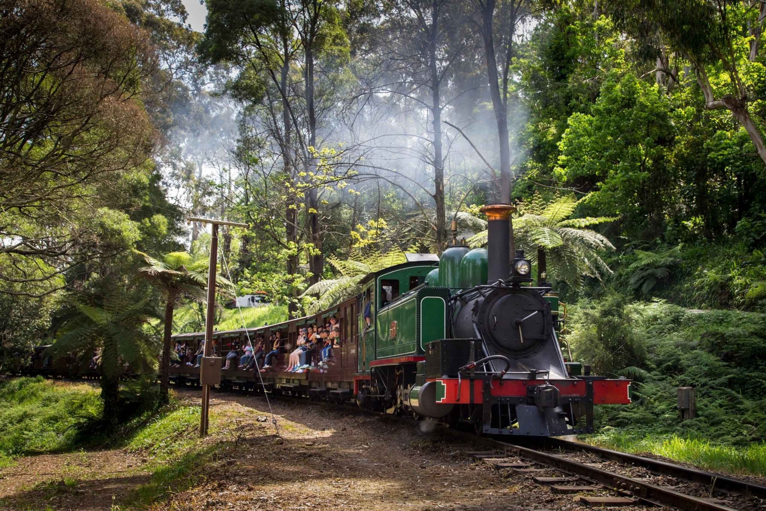 Melbourne: Penguin Parade Tour mit Puffing Billy Zugfahrt