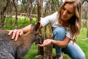 Melbourne: Peninsula Nature Yksityinen päiväretki päivällisellä