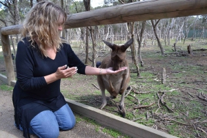 Melbourne: Passeio privativo de um dia pela natureza da Península com jantar