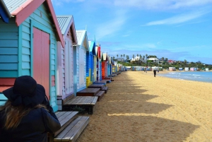 Melbourne: Passeio privativo de um dia pela natureza da Península com jantar
