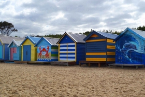 Melbourne: Passeio privativo de um dia pela natureza da Península com jantar