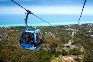 Melbourne: Passeio privativo de um dia pela natureza da Península com jantar