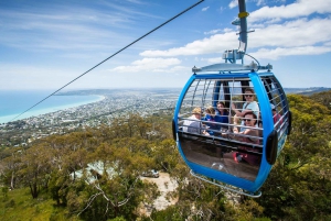 Melbourne: Passeio privativo de um dia pela natureza da Península com jantar