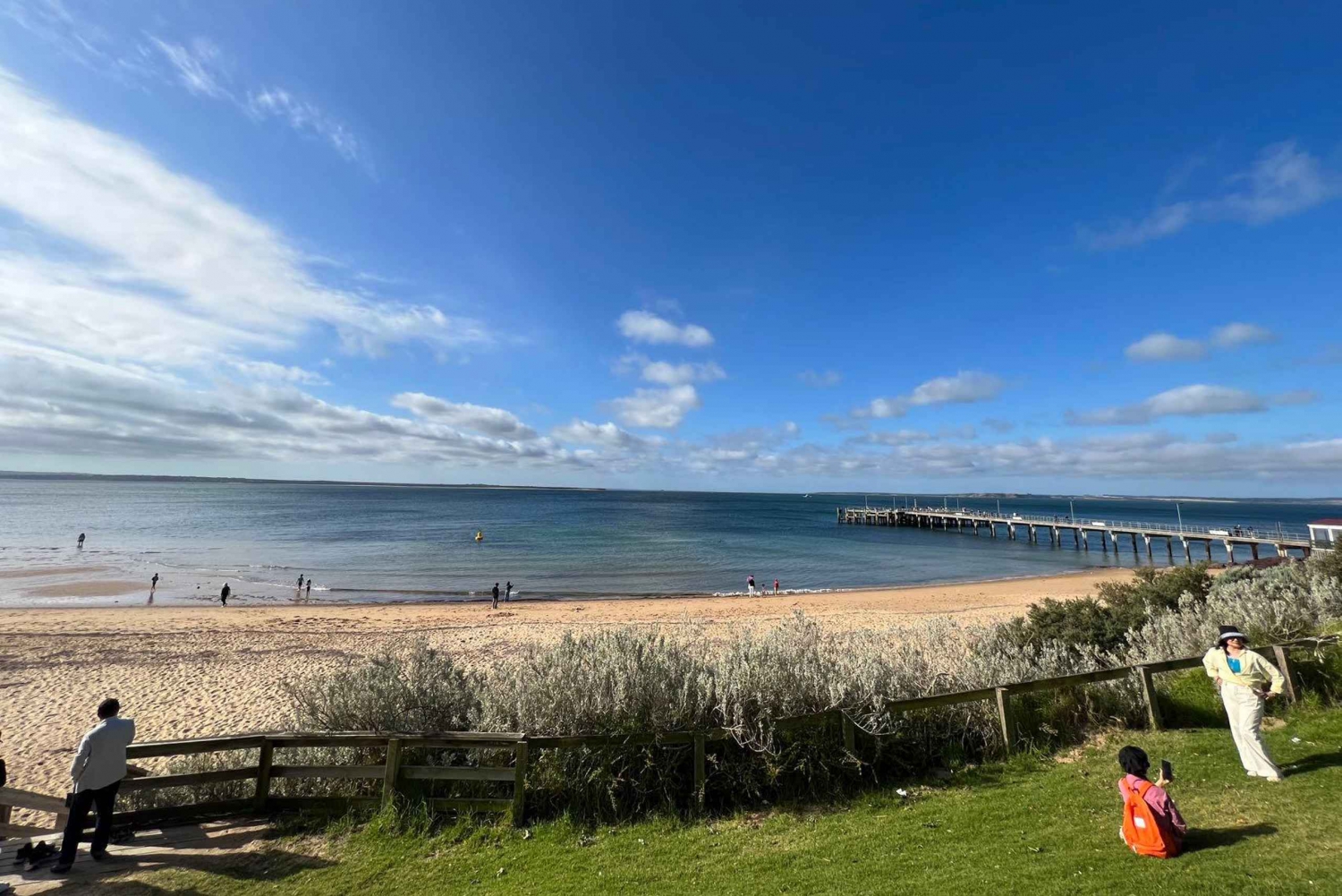 Melbourne: Privat tur til Phillip Island, pingviner og dyreliv