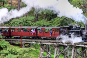 Melbourne: Puffing Billy & Healesville Sanctuary Scenic Tour (maisemakierros)
