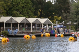 Melbourne: Puffing Billy i Healesville Sanctuary Scenic Tour