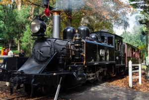 Melbourne: Puffing Billy i Healesville Sanctuary Scenic Tour