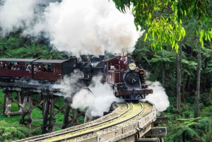 Melbourne: Puffing Billy i Healesville Sanctuary Scenic Tour