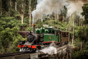 Melbourne: aventura en el tren Puffing Billy y desfile de pingüinos