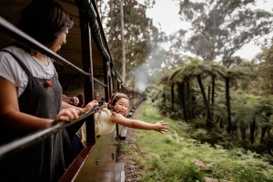 Melbourne: aventura en el tren Puffing Billy y desfile de pingüinos