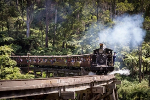 Melbourne: aventura en el tren Puffing Billy y desfile de pingüinos