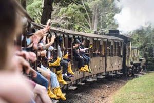 Melbourne: aventura en el tren Puffing Billy y desfile de pingüinos