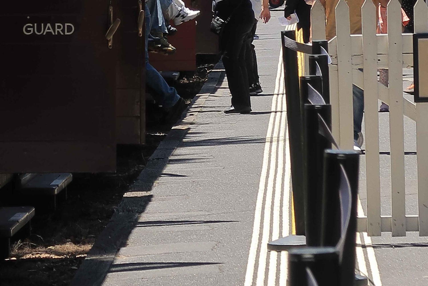 Melbourne: Puffing Billy-ångtåget och Penguin Island-dagstur