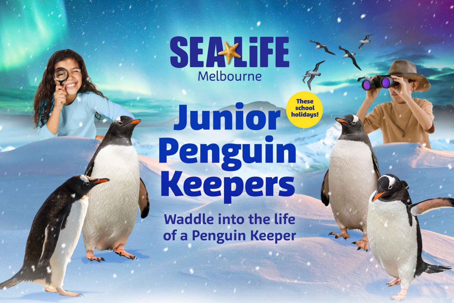 Melbourne: Inngangsbillett til SEA LIFE Aquarium