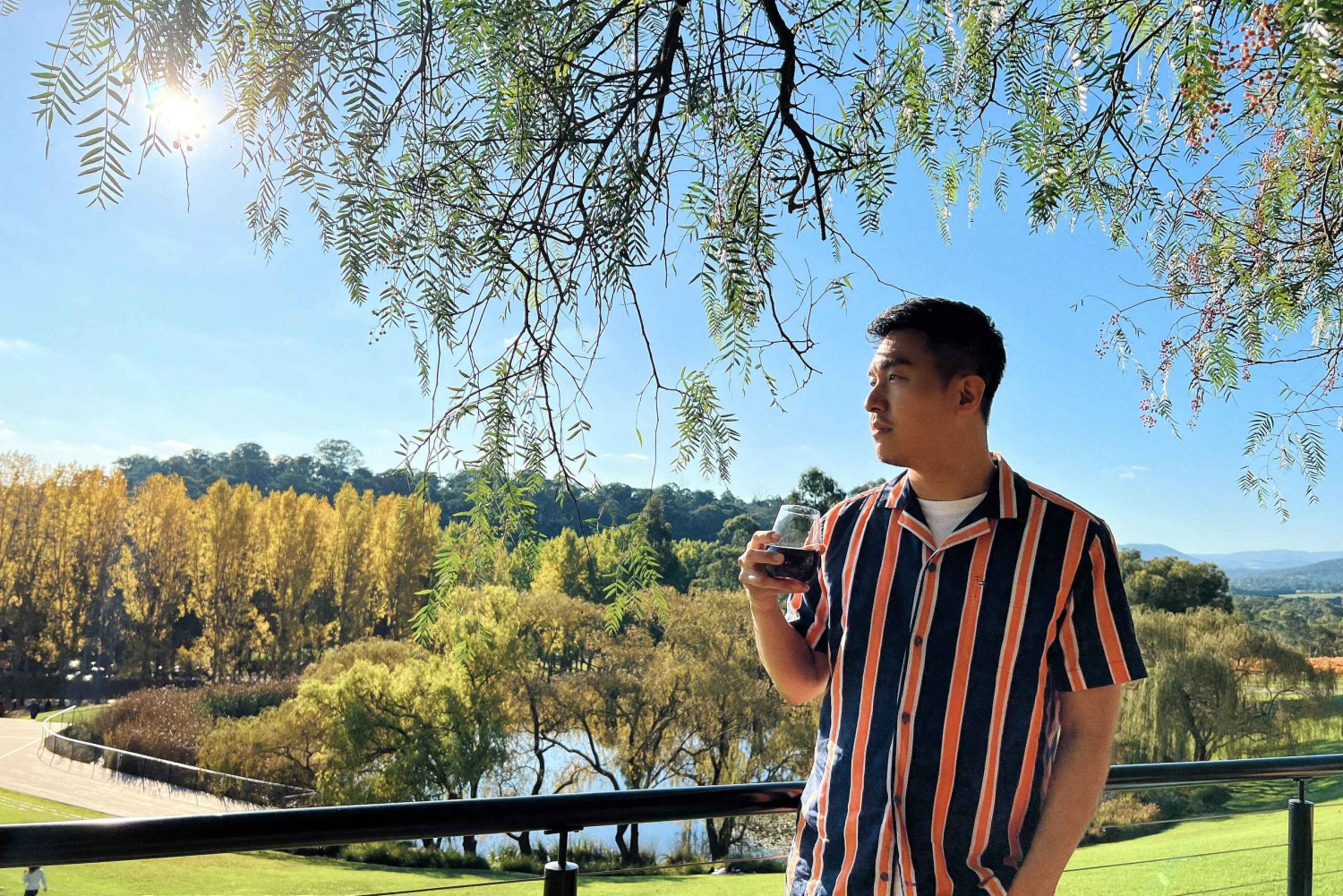 Yeringin viinitila, LV Chandonin viinitila, Puffing Billyn höyryjuna