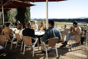 Melbourne: Yarra Valley Wine, Cider, Gin, Beer, & Choc Tour