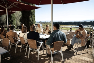 Melbourne: Yarra Valley Wine, Cider, Gin, Beer, & Choc Tour