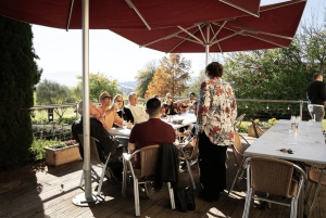 Melbourne: Yarra Valley Wine, Cider, Gin, Beer, & Choc Tour