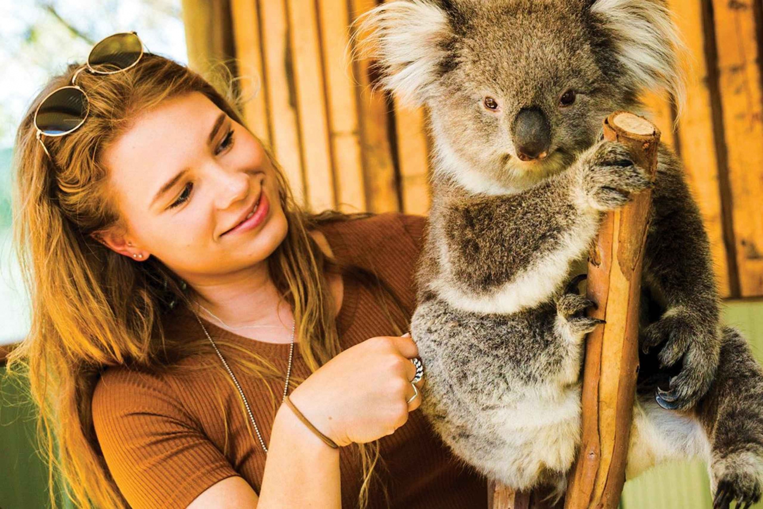 Biglietto d'ingresso per il parco di conservazione del Santuario della Luna