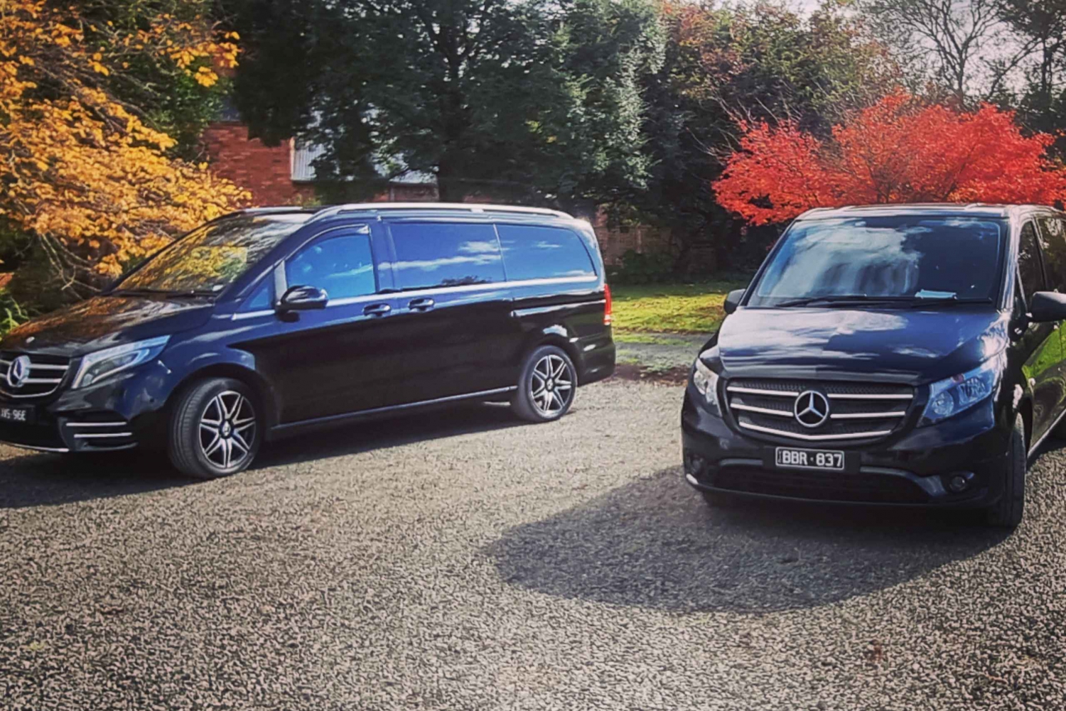 Privat og luksuriøs dagstur til Great Ocean Road og de 12 apostle