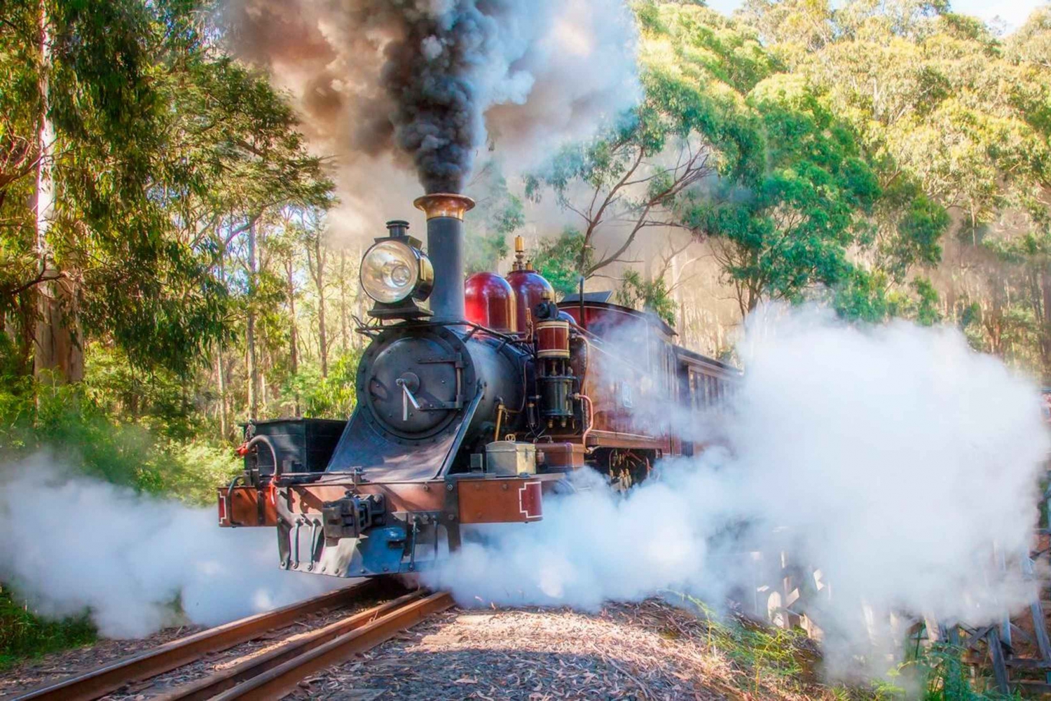 Tour particular às montanhas Dandenong e ao comboio a vapor Puffing Billy