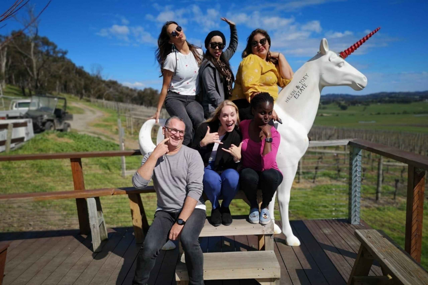 Tour privato: Vino, formaggio, gin e cioccolatini della Yarra Valley