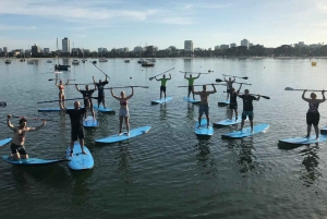St Kilda: Kilda: Gruppeundervisning i Stand-Up Paddleboarding