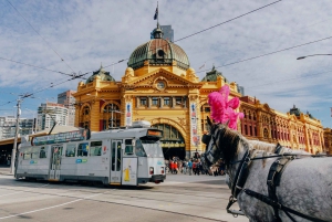 Ultimate Melbourne Walking Tour: History, Laneways & Culture