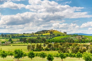 Yarra Valley: Full-Day Gourmet Tour with Lunch